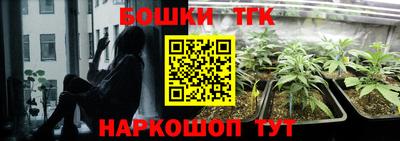 тгк Заводоуковск