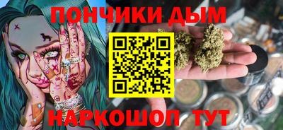 индика Бийск