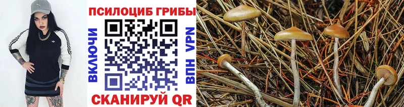 Псилоцибиновые грибы Magic Shrooms  Чебоксары 