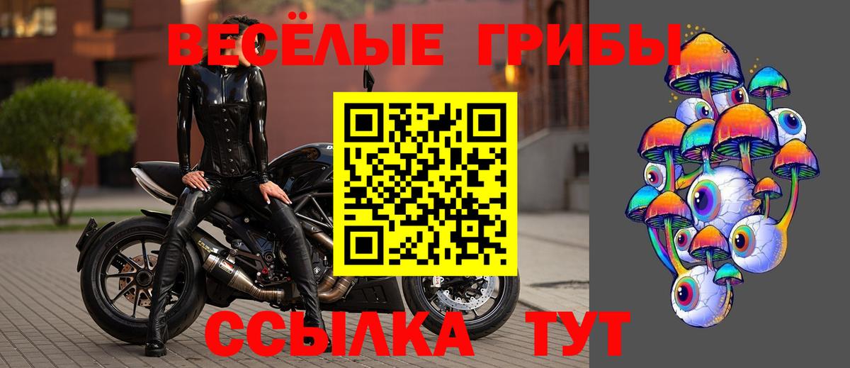 Псилоцибиновые грибы GOLDEN TEACHER  Чебоксары 