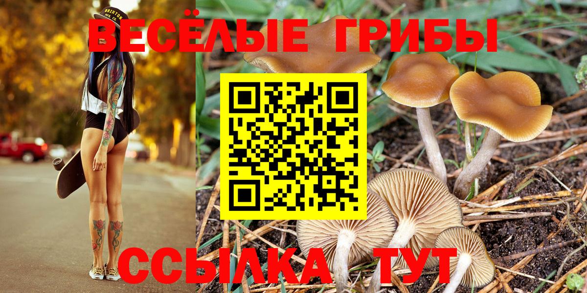Чебоксары  Галлюциногенные грибы GOLDEN TEACHER  Псилоцибиновые грибы мухоморы  Вход с VPN 