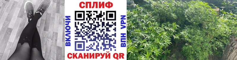 блэк спрут ТОР Чебоксары Марихуана THC 21%